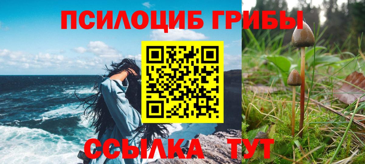 Галлюциногенные грибы Cubensis Владимир